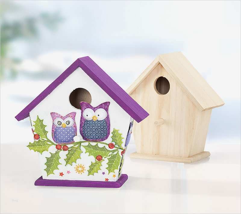 Vogelhaus Basteln Vorlagen Luxus Vogelhaus