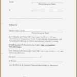 Vollmacht Vorlage Word Inspiration Vollmacht Vorlage New Vollmacht Vorlage Word Elegant