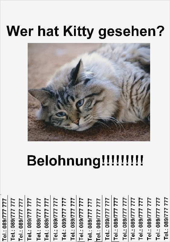 Vorlage Abreißzettel Gut 20 Abreißzettel Aushangzettel Flyer Werbung Nagelstudio