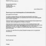Vorlage Anschreiben Finanzamt Süß Vorlage Anschreiben Bewerbungsmuster Fuehrungskraft
