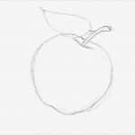 Vorlage Apfel Best Of 4 2 Ein Apfel Gimp Werkstatt
