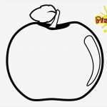 Vorlage Apfel Elegant Ausmalbild Apfel Kostenlose Malvorlagen
