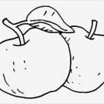 Vorlage Apfel Erstaunlich Pin Ausmalen Ausdrucken Vorlage Muster Klasse 5 6