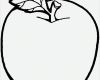 Vorlage Apfel Hübsch Vorlagen Zum Ausdrucken Ausmalbilder Apfel Malvorlagen 5