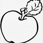 Vorlage Apfel Wunderbar Vorlagen Zum Ausdrucken Ausmalbilder Obst Früchte