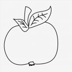 Vorlage Apfel Zum Ausschneiden Elegant Ausmalbilder Apfel Kostenlos Malvorlagen Zum Ausdrucken
