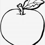 Vorlage Apfel Zum Ausschneiden Fabelhaft Einfacher Apfel Ausmalbild &amp; Malvorlage Essen Und Trinken