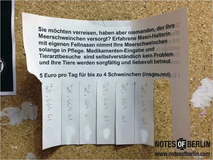 Vorlage Aushang Schwarzes Brett Erstaunlich 13 Besten Schwarzes Brett Bilder Auf Pinterest