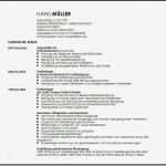 Vorlage Auslagenerstattung Erstaunlich Großartig Anweisung Muster Vorlagen Zeitgenössisch