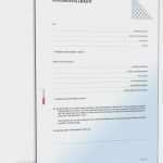 Vorlage Auslagenerstattung Großartig atemberaubend Behörde formularvorlage Galerie Bilder