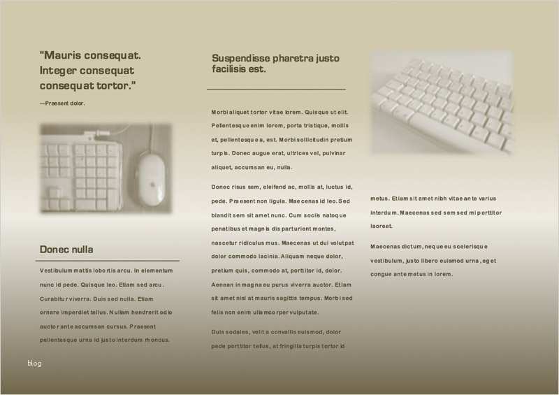 Vorlage Besucherbuch Für Firmen Erstaunlich Flyer Vorlage Für It Firmen Als Word Vorlage Gratis