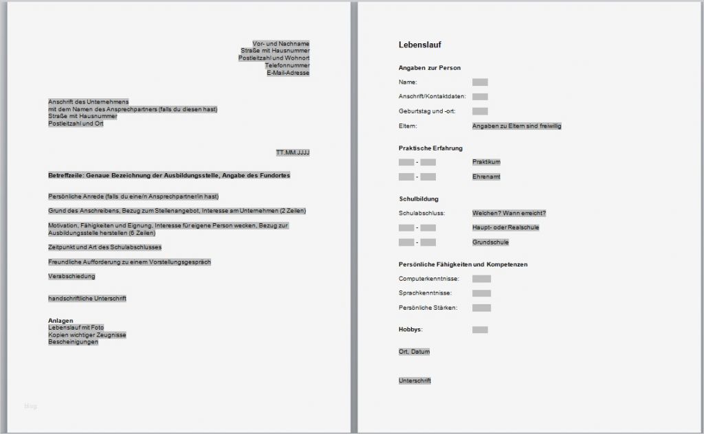 75 Wunderbar Vorlage Bewerbung Bilder 1 Vorlage Bewerbung Gut Bewerbungsvorlagen Word 2010