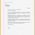 Vorlage Bewerbungsschreiben Inspiration 15 Bewerbung 2017 Muster