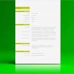 Vorlage Bewerbungsschreiben Word Beste Lebenslauf Vorlage Word &amp; Open Fice Zum Herunterladen