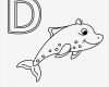 Vorlage Buchstaben Schönste Delfin Ausmalbild Buchstaben Zum Ausdrucken
