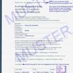 Vorlage Ce Konformitätserklärung Fabelhaft Waagen