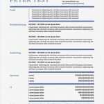 Vorlage Cv Erstaunlich Cv Vorlage In Der Tabelle Mit Kreisen Cv & Bewerbung