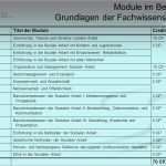 Vorlage Dokumentation soziale Arbeit Beste Basa Line Bachelor Of Arts soziale Arbeit Ppt Video