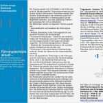 Vorlage Dokumentation soziale Arbeit Elegant Führungsaufsicht 2013