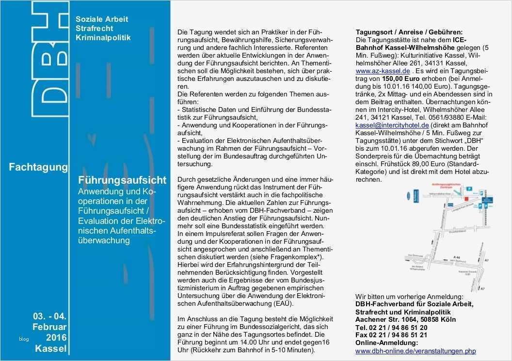 Vorlage Dokumentation soziale Arbeit Wunderbar Führungsaufsicht 2016