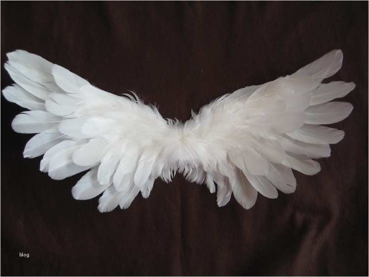 Vorlage Engelsflügel Elegant Vorlage Engelsflügel