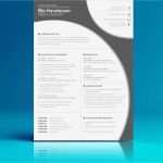 Vorlage Englischer Lebenslauf Angenehm Englische Bewerbung Schreiben Mit Vorlage Zum Download