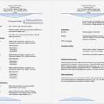 Vorlage Englischer Lebenslauf Beste Vorlage Englischer Lebenslauf Inspirierend Frisches 35