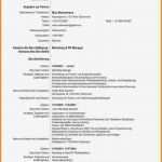 Vorlage Englischer Lebenslauf Elegant Ziemlich Kassierer Lebenslauf Beispiel