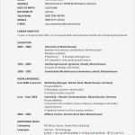 Vorlage Englischer Lebenslauf Hübsch Muster Des Englischen Lebenslaufs Bewerbung