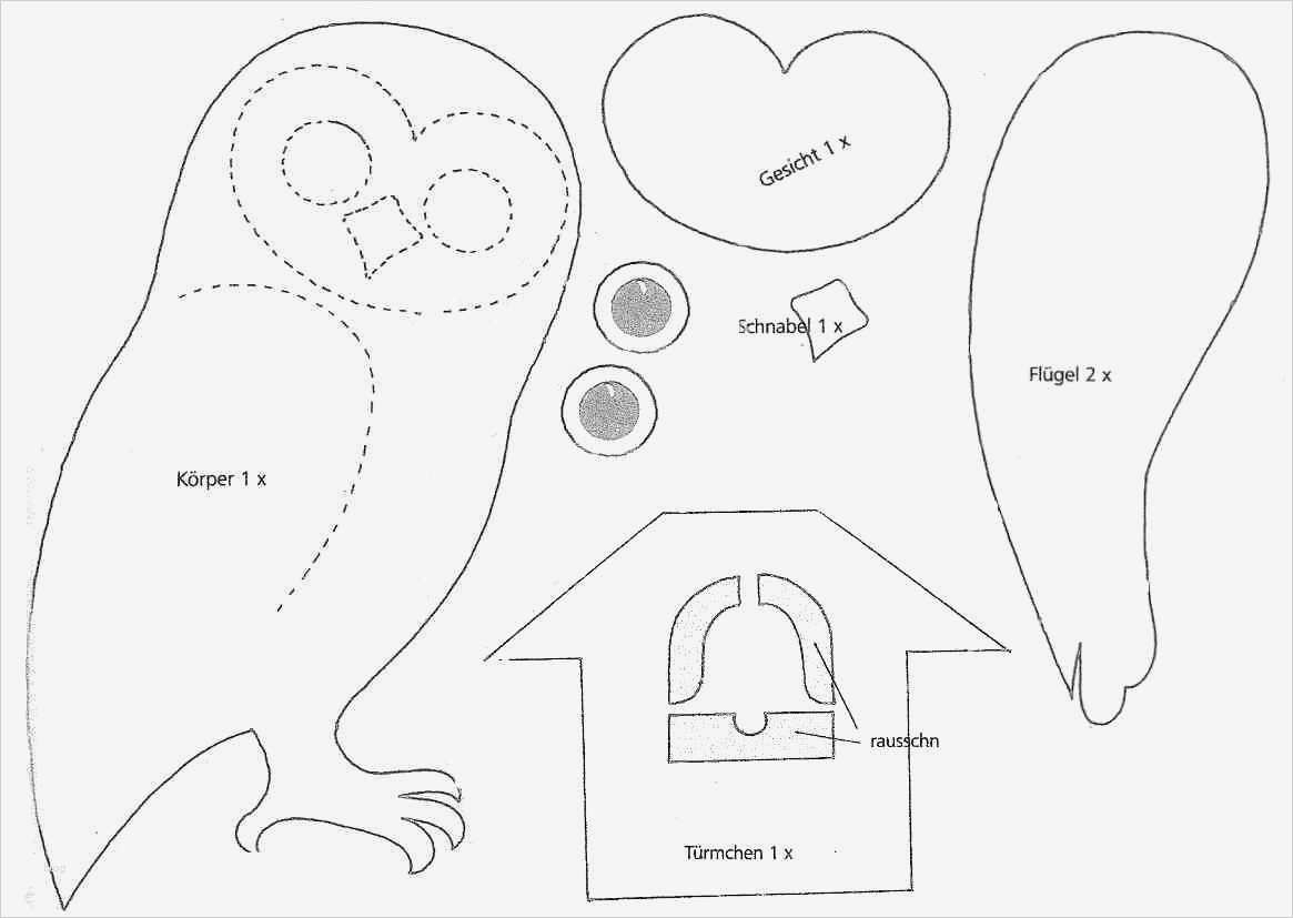 Vorlage Eule Cool Suche Eulen Vorlage Basteln Eule