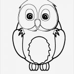 Vorlage Eule Erstaunlich Ausmalbilder Von Biber Berry Eule Fuchs Und Viele Tiere