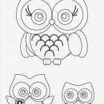 Vorlage Eule Genial Eule Malvorlagen Eulen Ausmalbilder Malvorlage Gratis
