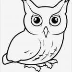 Vorlage Eule Gut Die Besten 25 Eulen Ausmalbilder Ideen Auf Pinterest