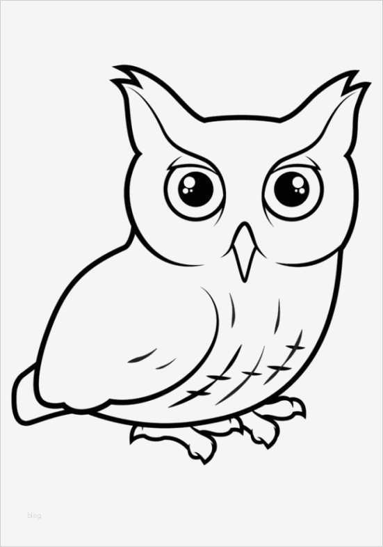 Vorlage Eule Gut Die Besten 25 Eulen Ausmalbilder Ideen Auf Pinterest
