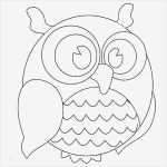 Vorlage Eule Wunderbar Bastelvorlagen Für Herbst Mit Eule 17 Ideen Und Anleitung