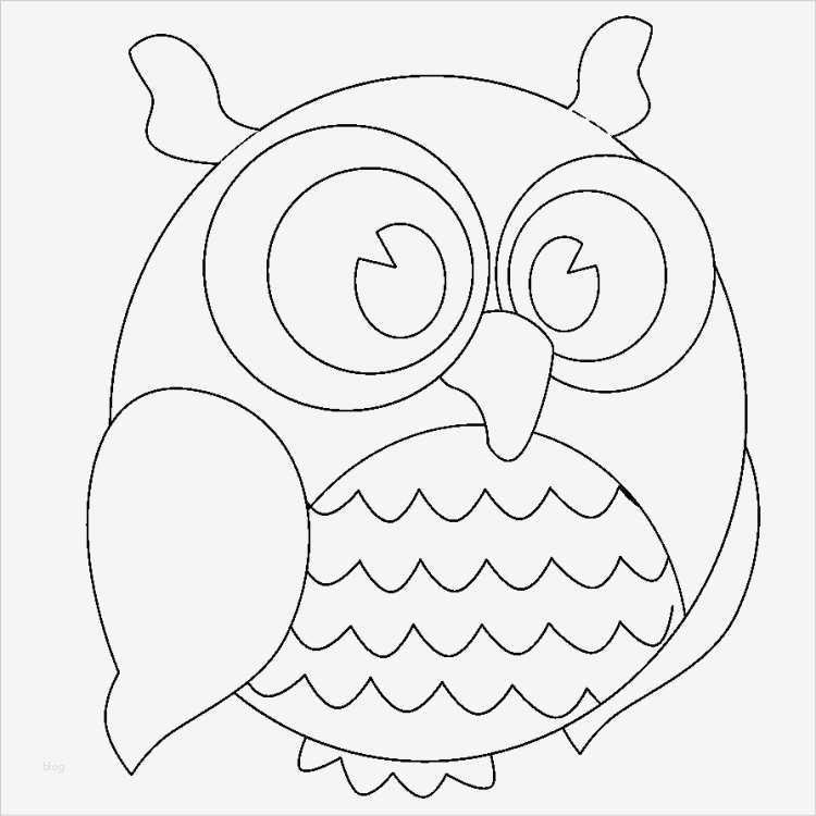 Vorlage Eule Wunderbar Bastelvorlagen Für Herbst Mit Eule 17 Ideen Und Anleitung