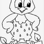 Vorlage Eule Wunderbar Malvorlagen Herbst Eule