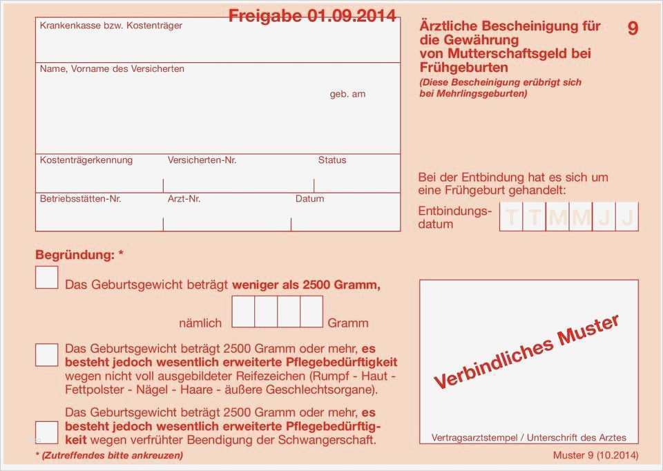 Vorlage Finanzielle Unterstützung Einzigartig Finanzielle Bürgschaft Vorlage Arbeitsunf