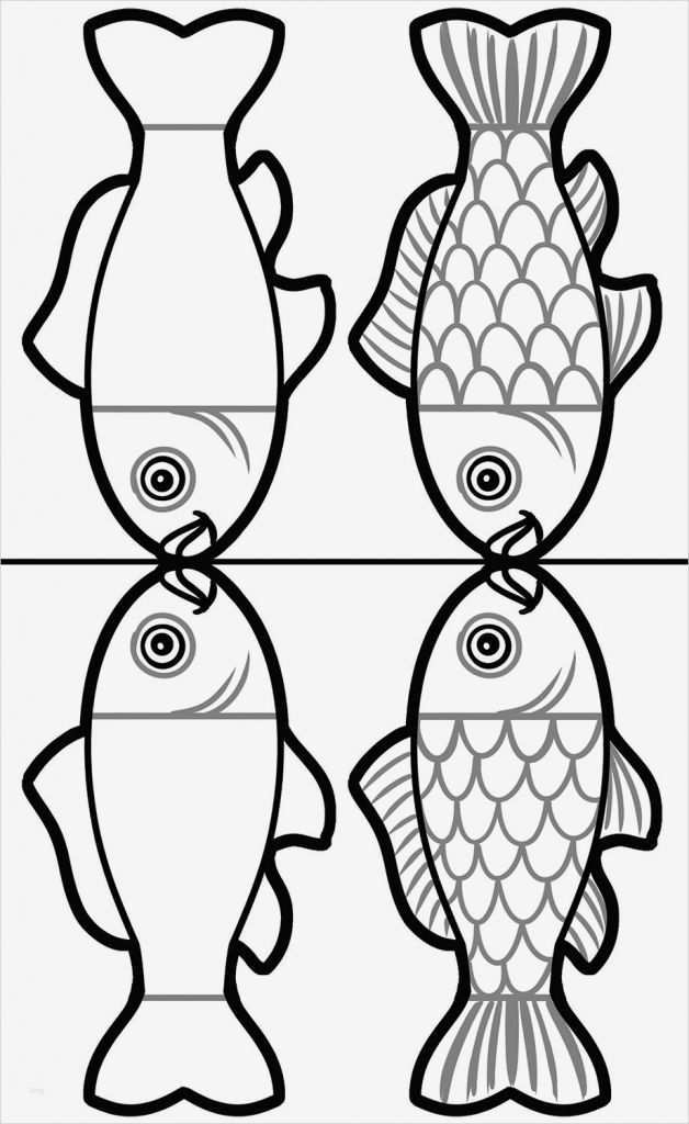 Vorlage Fisch Basteln Gut Fliegende Fische Vorlage Ideen Vorlage Fisch Basteln Gut Fliegende Fische Vorlage Ideen