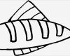 Vorlage Fisch Basteln Inspiration Gestreifter Fisch Schematisch Ausmalbild &amp; Malvorlage Tiere