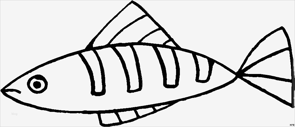 Vorlage Fisch Basteln Inspiration Gestreifter Fisch Schematisch Ausmalbild & Malvorlage Tiere