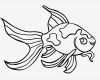 Vorlage Fisch Basteln Neu Malvorlagen Fisch Zum Ausdrucken – Malvorlagen