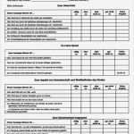 Vorlage Fragebogen Hübsch Charmant Fragebogen formularvorlage Galerie Entry Level