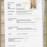 Vorlage Für Bewerbung Schülerpraktikum Erstaunlich 6 Lebenslauf Für Praktikum