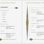 Vorlage Für Lebenslauf Einzigartig Lebenslauf Muster Und Vorlagen Tabellarischer Lebenslauf