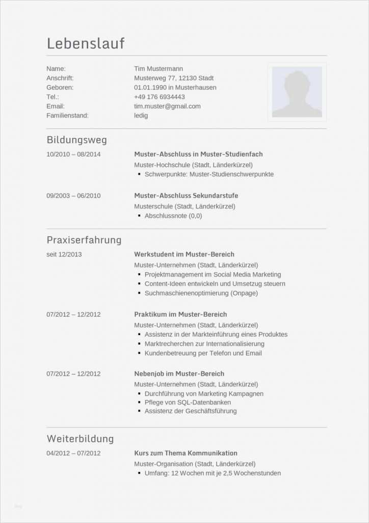Vorlage Für Lebenslauf Schönste Lebenslauf Muster Für Programmierer