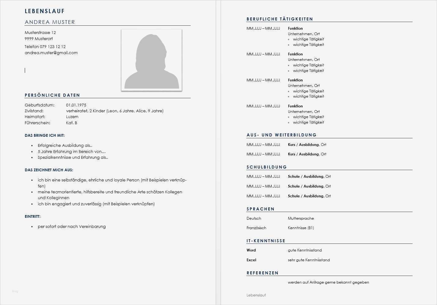 Vorlage Für Lebenslauf Word Erstaunlich Vorlage Lebenslauf Tabellarischer Lebenslauf Schweiz