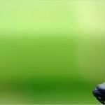 Vorlage Gutschein Wellness Elegant Berlin Klang Schalen Massage Kime