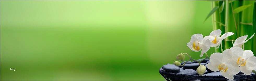 Vorlage Gutschein Wellness Wochenende Beste Berlin Klang Schalen Massage Kime