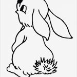 Vorlage Hase Beste Malvorlagen Gratis Malvorlagen Hase